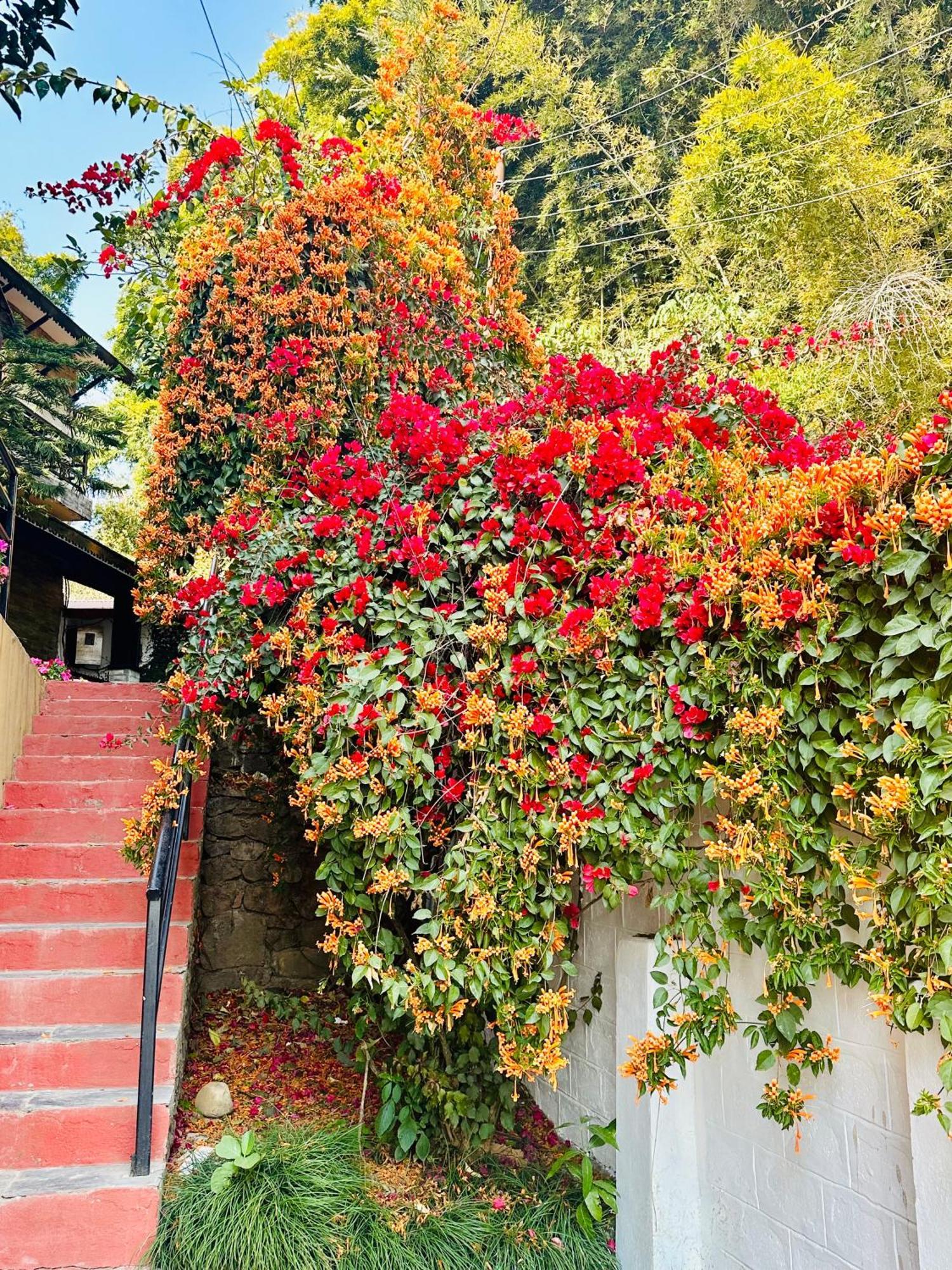 Homeland Forest Villa โพคารา ภายนอก รูปภาพ
