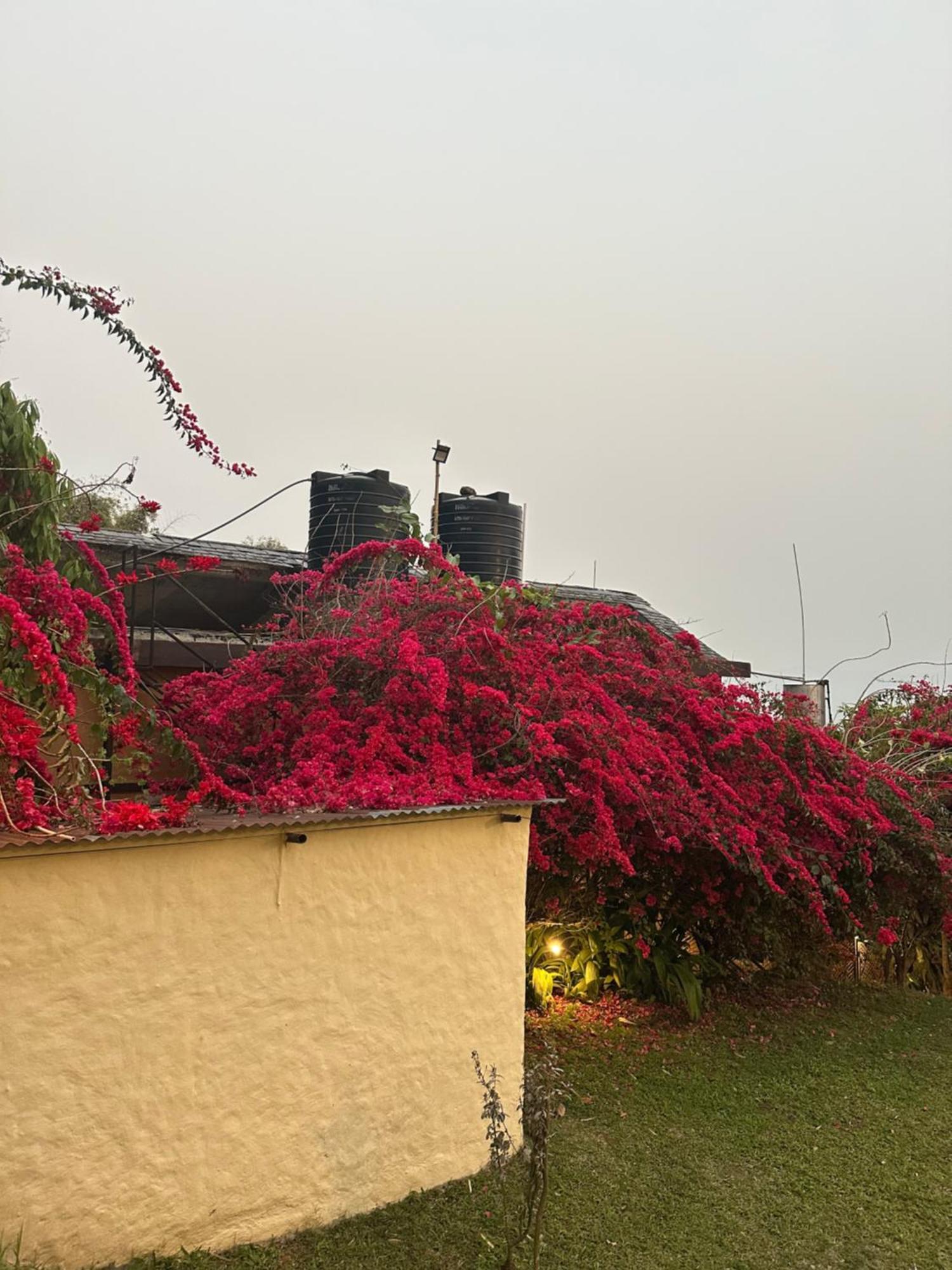 Homeland Forest Villa โพคารา ภายนอก รูปภาพ